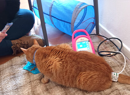 cuidadocooperativo cuidadocooperativo